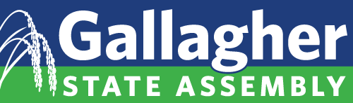 Gallagher for Assembly 2022